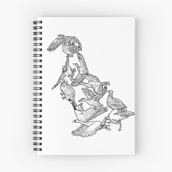 Item preview, Anseriformes - Black and White - Ducks - Birds - Evolution designed and sold by EvolutionPoster.