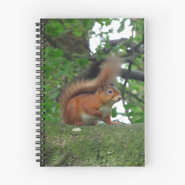 Item preview, Red Squirrel designed and sold by wiggyofipswich.