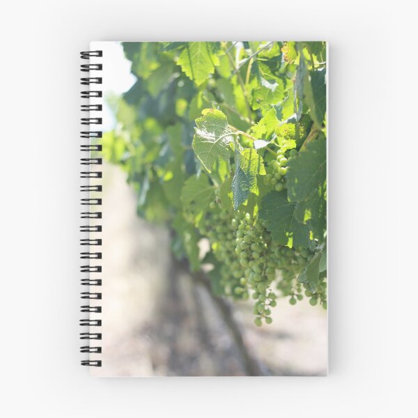 Item preview, Hanging grapes in a vineyard designed and sold by Holneub.