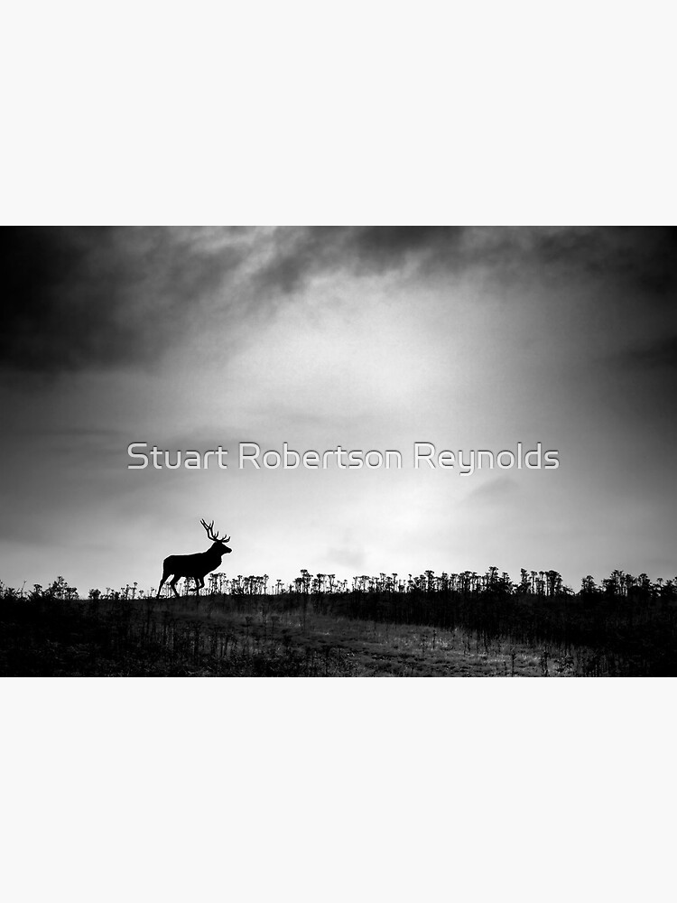 The Stag by Sparky2000