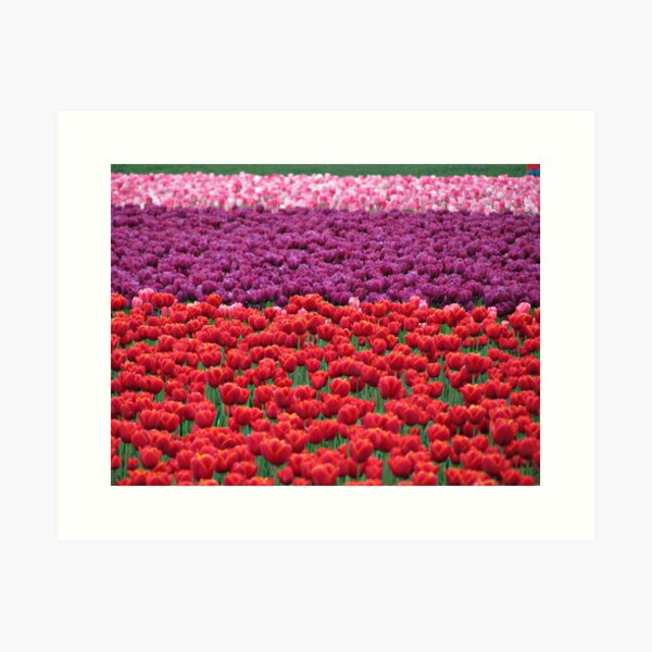 Item preview, Rows and rows of color designed and sold by Kathy Yates.