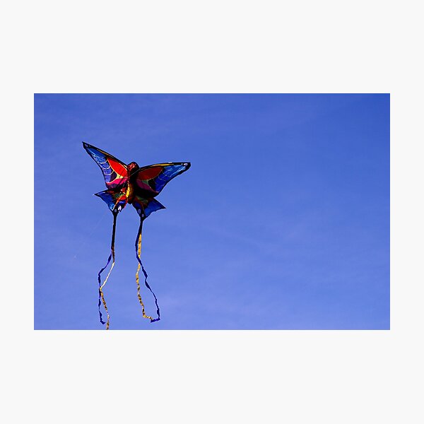 Item preview, Butterfly in the sky designed and sold by Anisul Hoque.