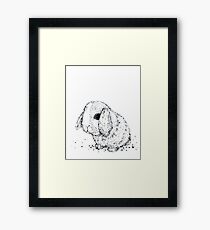 Hase Gerahmtes Wandbild