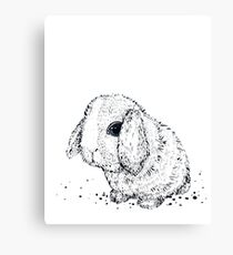 Hase Leinwanddruck