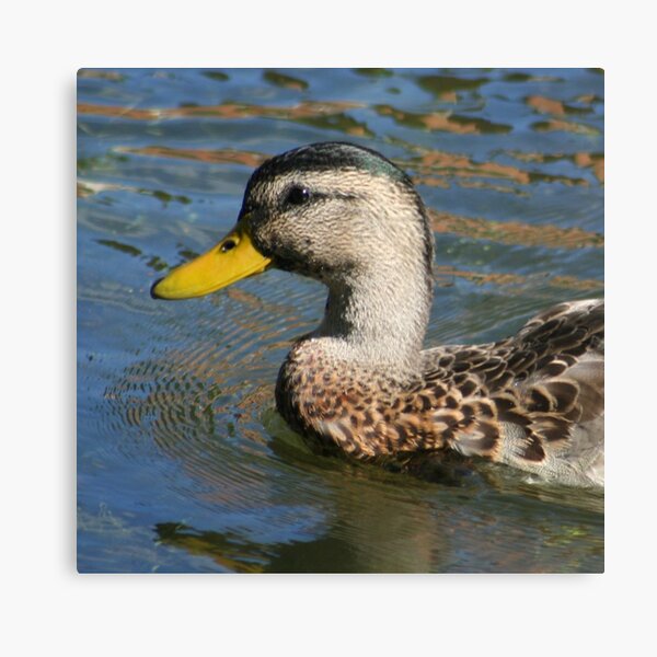 Floating Canvas Print