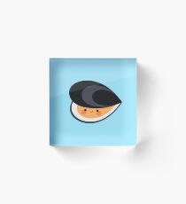 Nette Muscheln Acrylblock