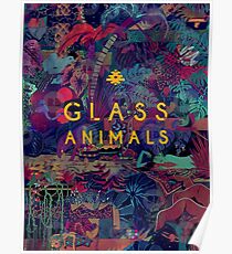 Glass Animals Poster