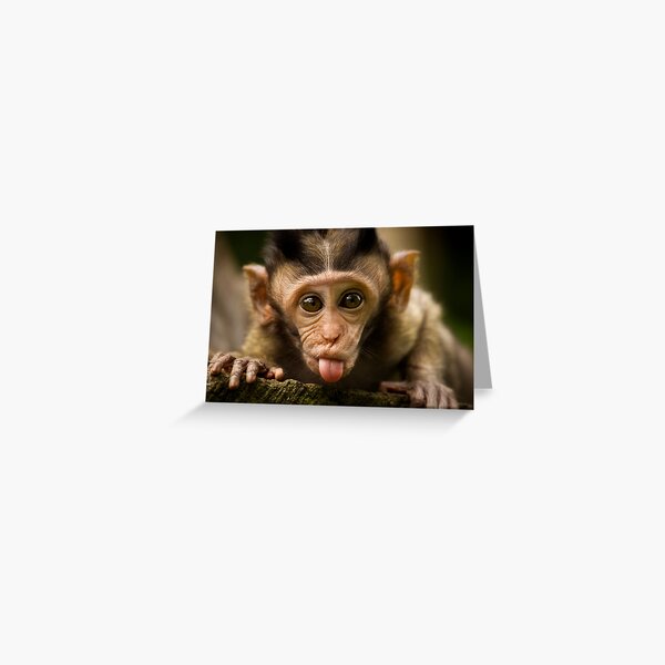 Rude Monkey Sticking Out Tongue Greeting Card