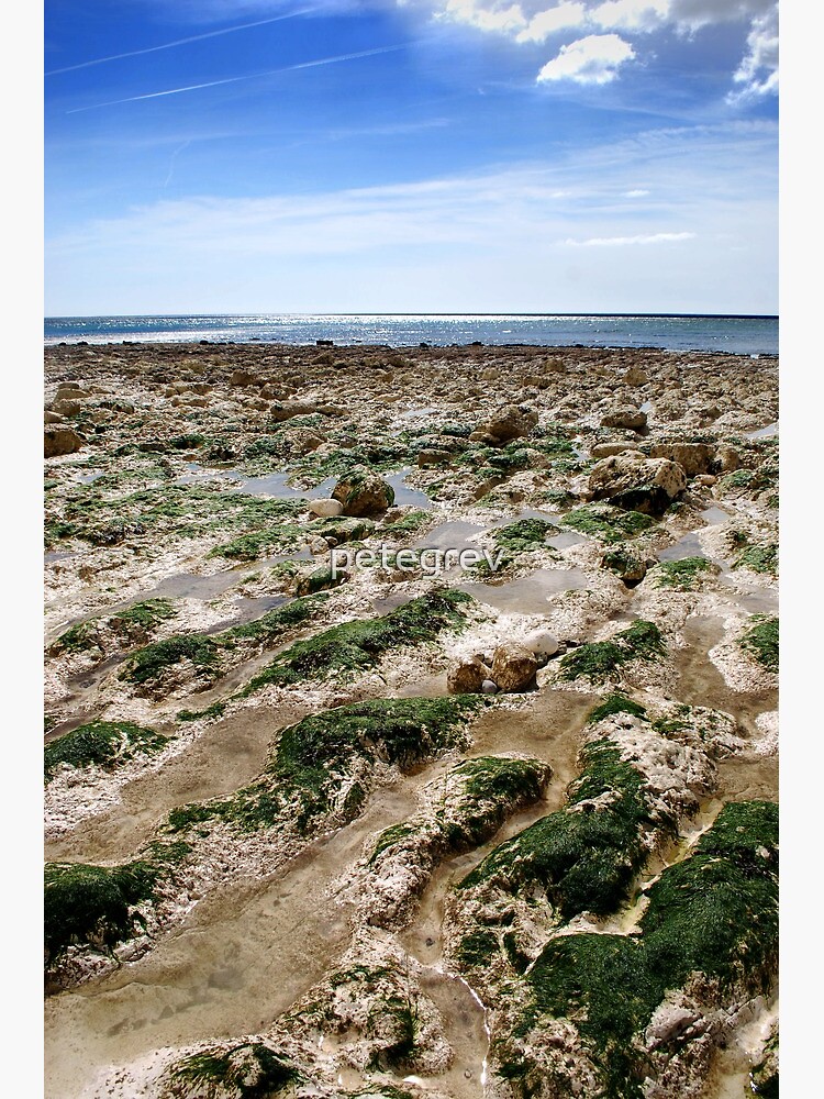 Birling Gap Beach by petegrev