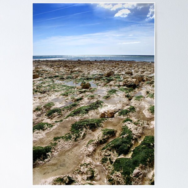 Item preview, Birling Gap Beach designed and sold by petegrev.