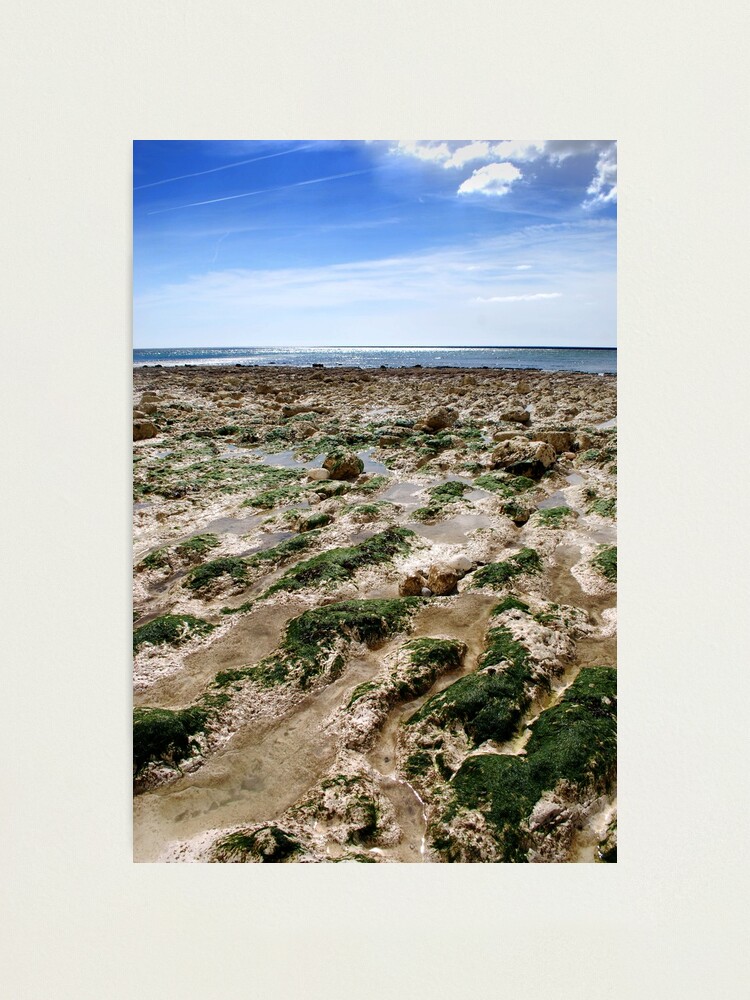 Alternate view of Birling Gap Beach Photographic Print