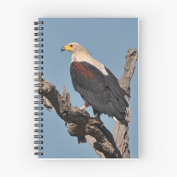 Item preview, Fish Eagle of the Timbavati designed and sold by Macky.