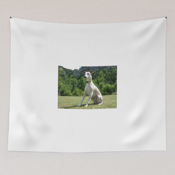 Item preview, Whippet "Mr Handsome" designed and sold by whippetmuse.