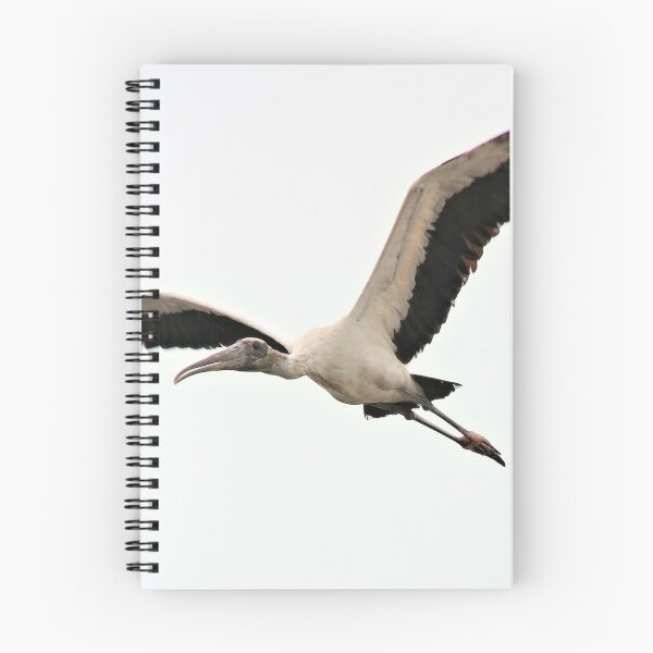 Item preview, Up, Up, and Away! Wood Stork designed and sold by SuddenJim.