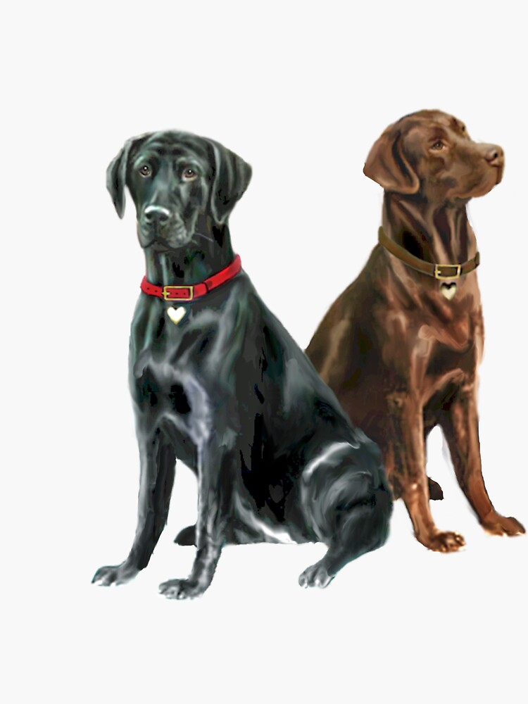 Labrador Retrievers (two) - Black and Chocolate by JeanBFitzgerald