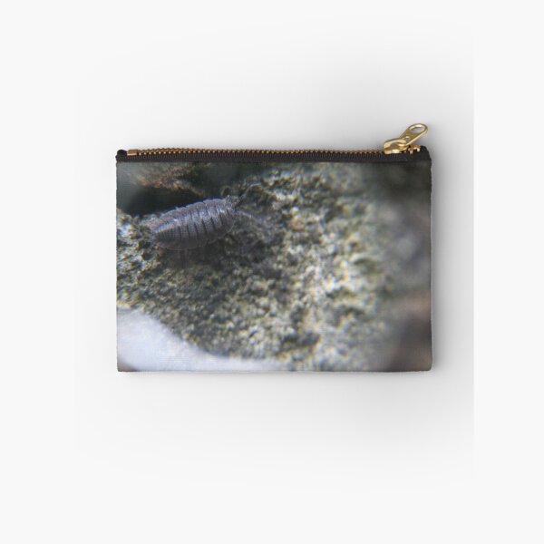 Item preview, Woodlouse wonder  designed and sold by Digitaldegs.