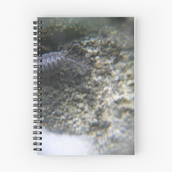 Item preview, Woodlouse wonder  designed and sold by Digitaldegs.