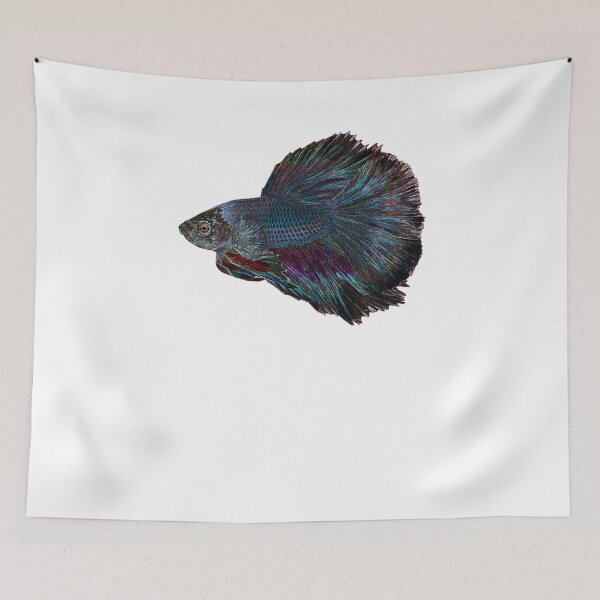Item preview, Black Betta Siamese fighting fish gift designed and sold by BornDesign.
