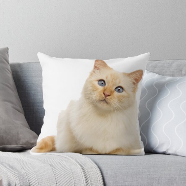 Item preview, Flame Point Himalayan Cat designed and sold by Pam069.