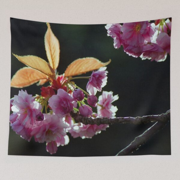 Item preview, Prunus "Kanzan" designed and sold by Nerone.