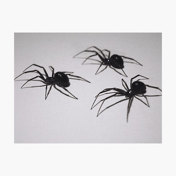 Item preview, Arachnophobia designed and sold by Robbie Labanowski.