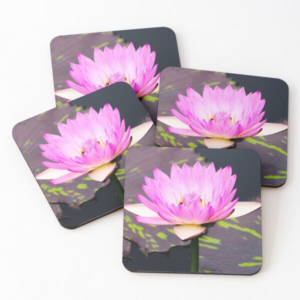 Item preview, Pink Water Lily designed and sold by Crystal Wightman.