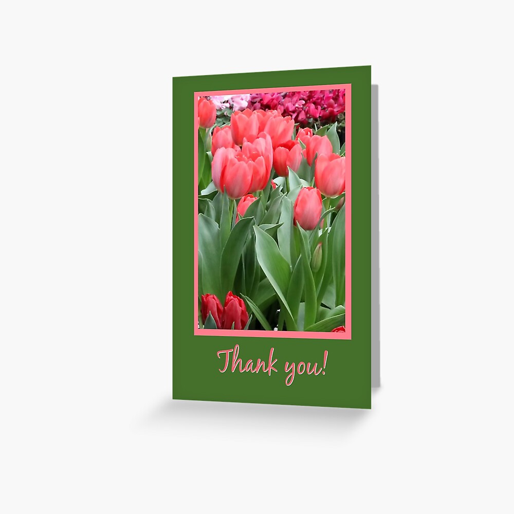 Bloom Pattern Design Seeds Spring Floral Greeting Card Allium Pansies Poppies Thank You Note Springtime Whimsy Illustration