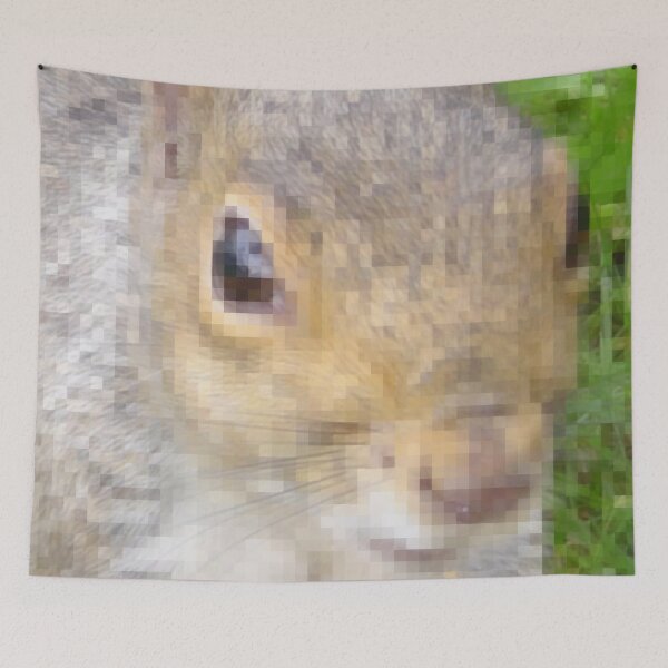 Item preview, The many faces of Squirrel 5 designed and sold by ellenhenry.
