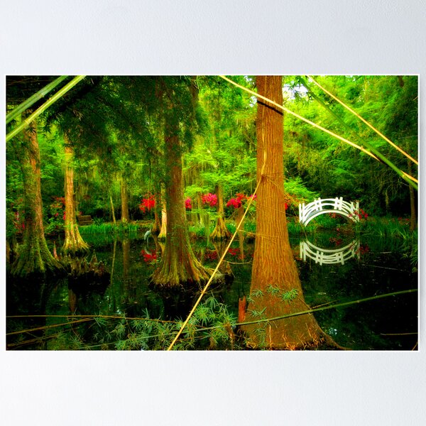 Item preview, Swamp Panorama - Magnolia Gardens designed and sold by photosan.