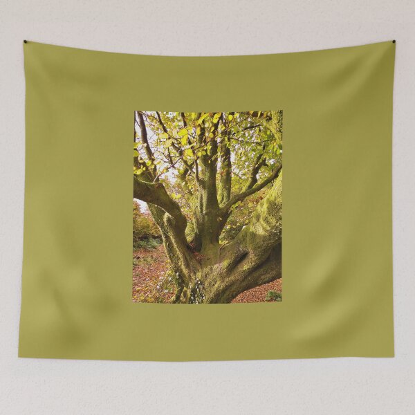 Item preview, ANCIENT BEECH TREE designed and sold by Richard Brookes Photography.