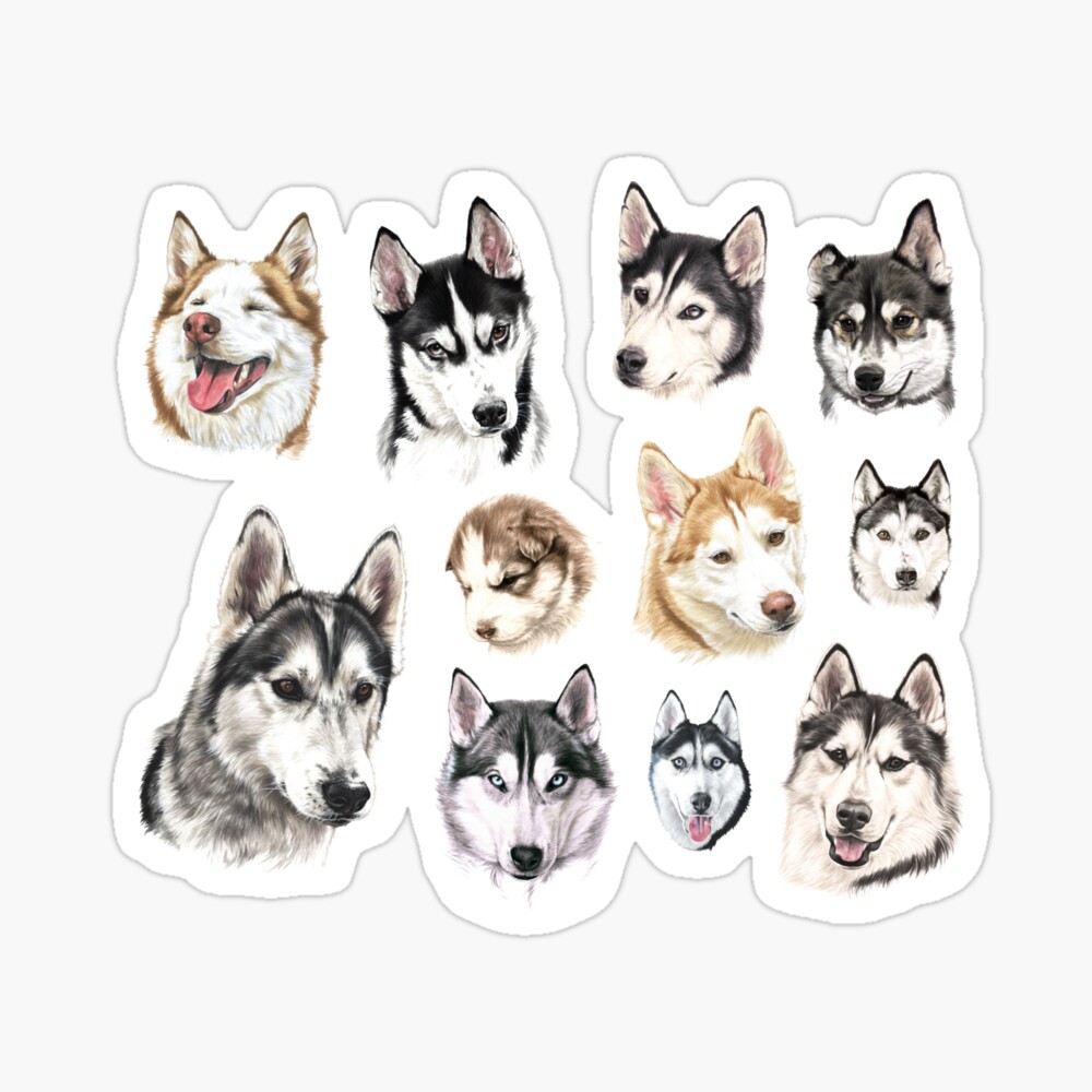Husky collage iPhone Case