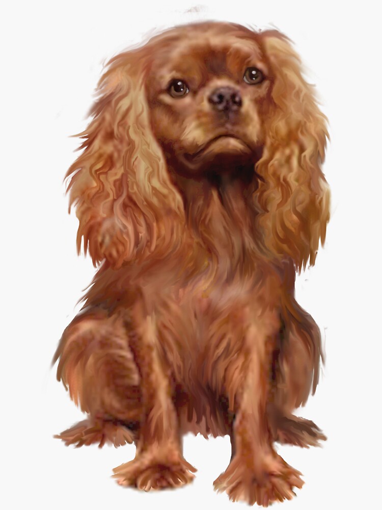 Cavalier King Charles Spaniel - Ruby by JeanBFitzgerald