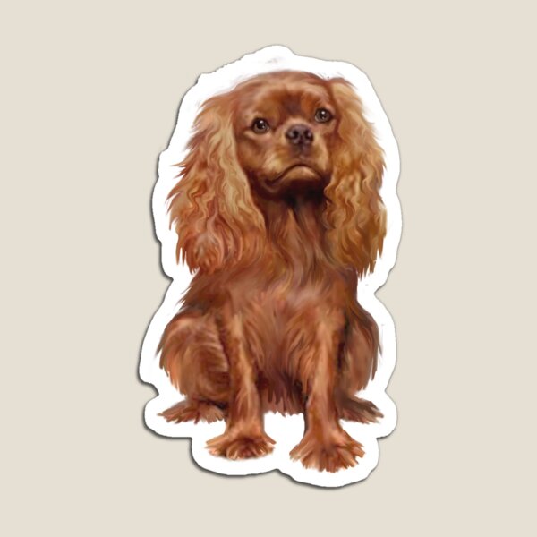 Item preview, Cavalier King Charles Spaniel - Ruby  designed and sold by JeanBFitzgerald.