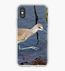 Willet Hunting on Sanibel iPhone Case