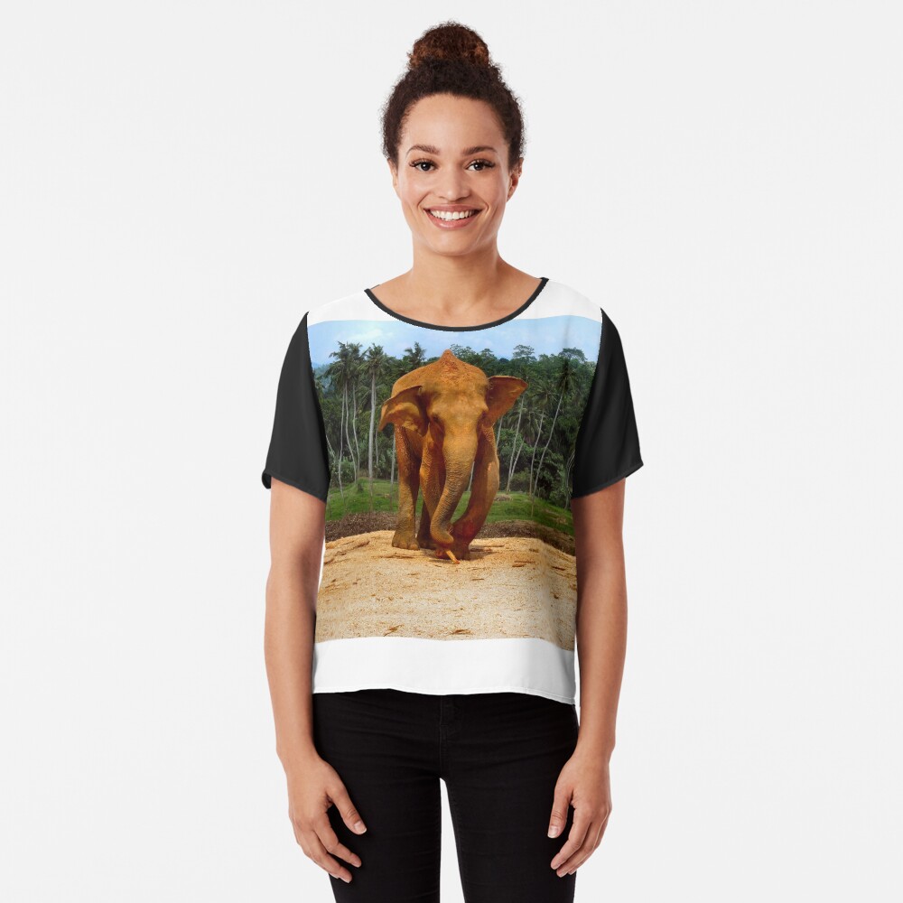Item preview, Chiffon Top designed and sold by ronsaunders47.