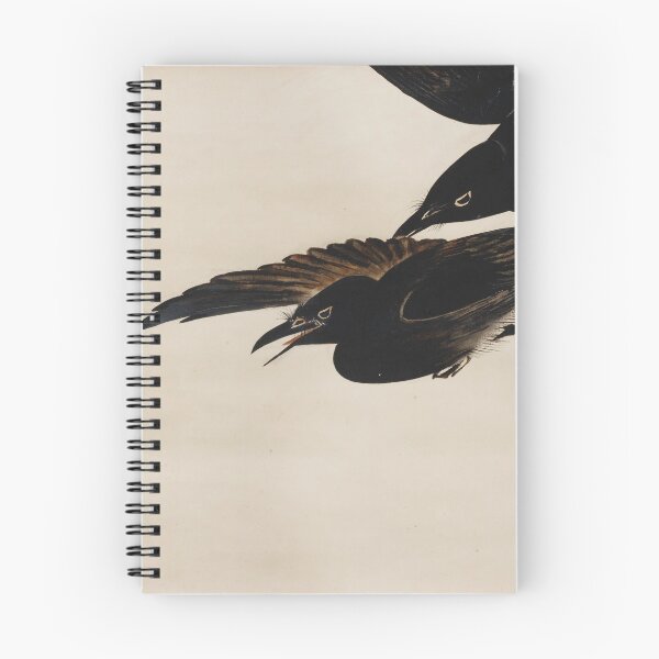 Item preview, Two Crows - Shibata Zeshin (1807-1891) - Japanese scroll painting designed and sold by cdmprints.
