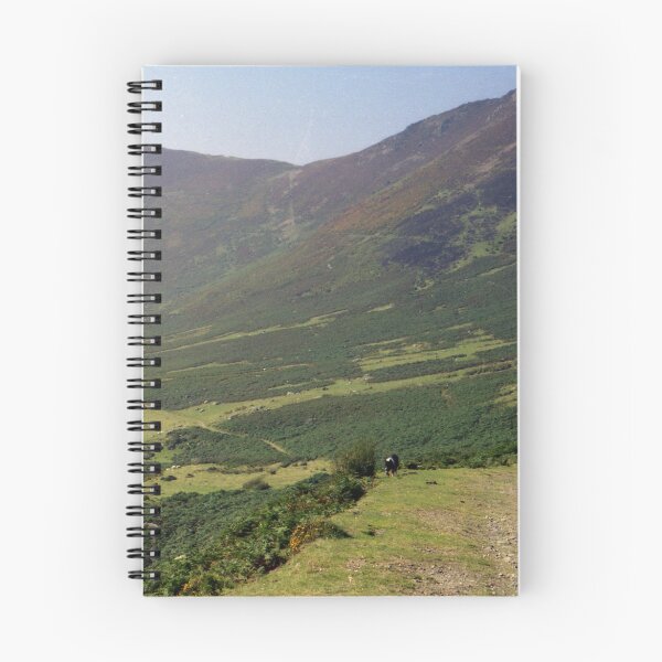 Item preview, Indy in the Aber Valley designed and sold by Michael Haslam.