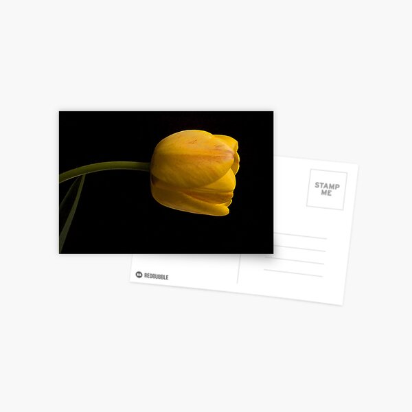 Dressed in Yellow Postcard