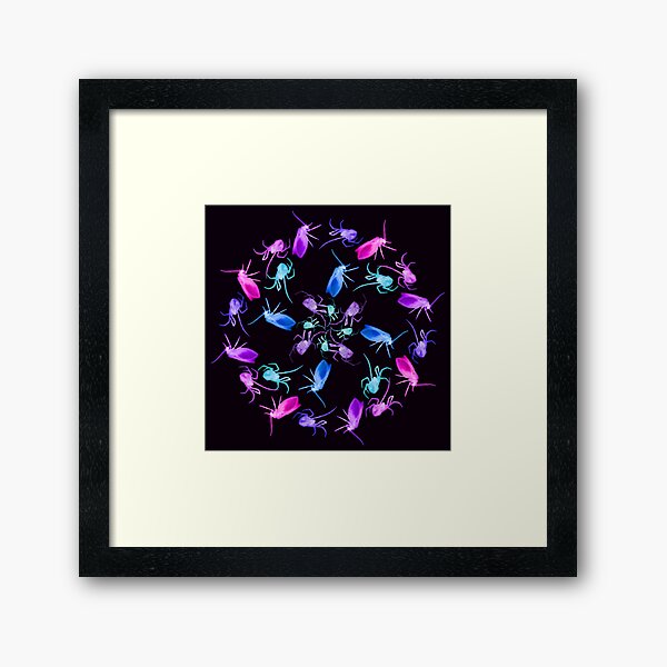 Spider Moth Flower 1 Framed Art Print