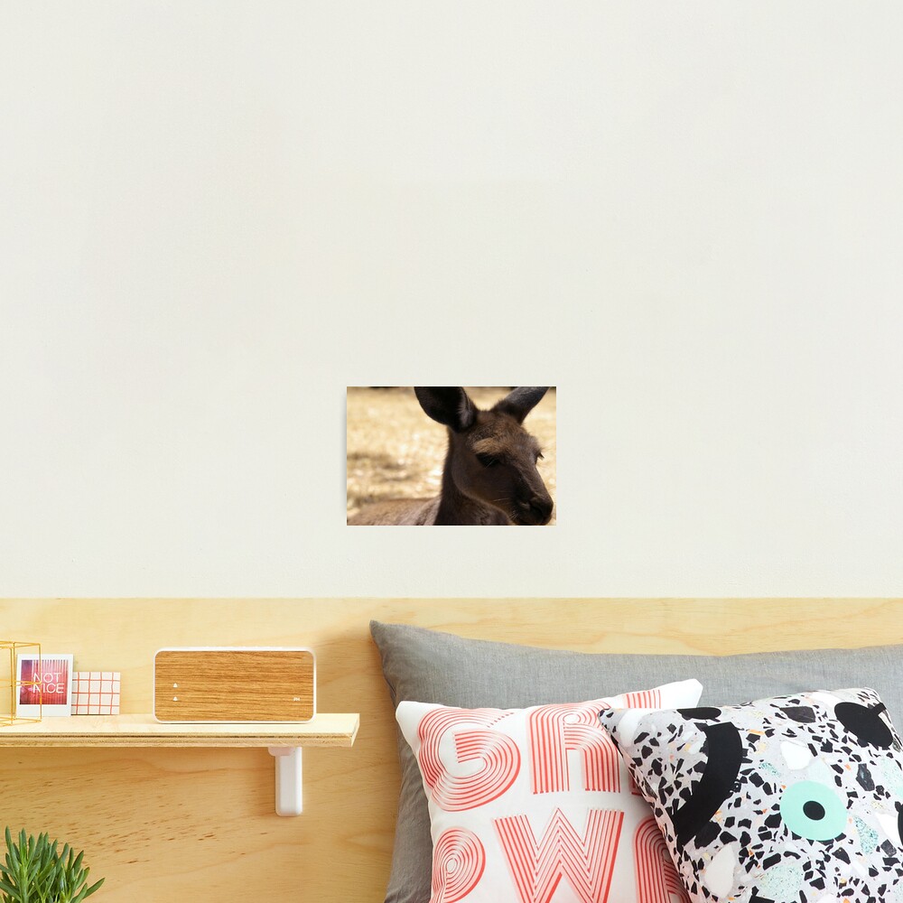 Item preview, Photographic Print designed and sold by TheBetterly.