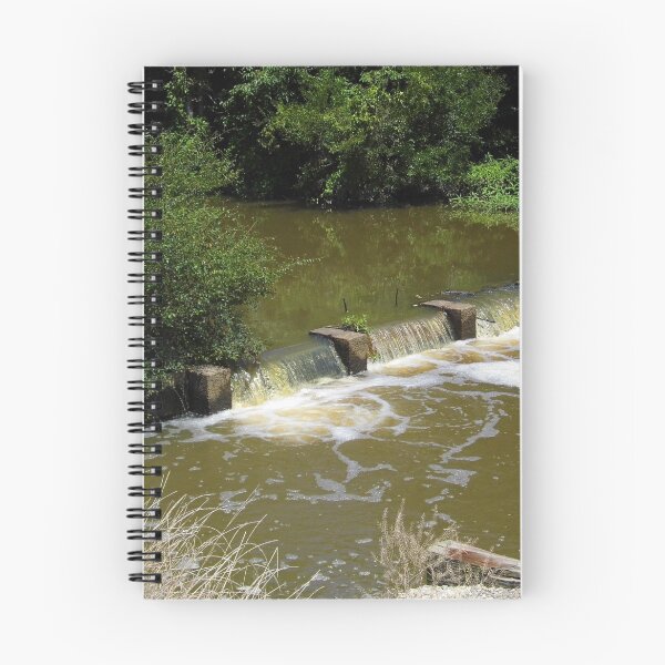 Aperçu de l'œuvre La Grue Bayou créée et vendue par WildestArt.