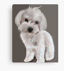 Perro Metal Print