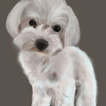 Artwork thumbnail, Perro by Inmagi