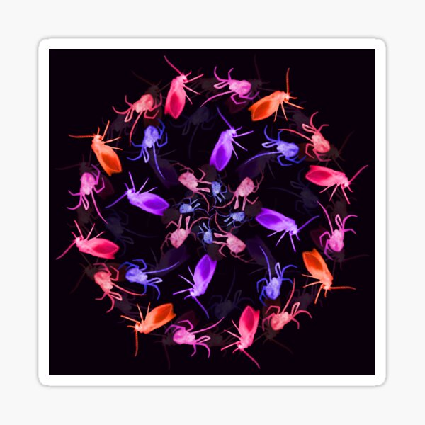 Spider Moth Flower 2 Sticker