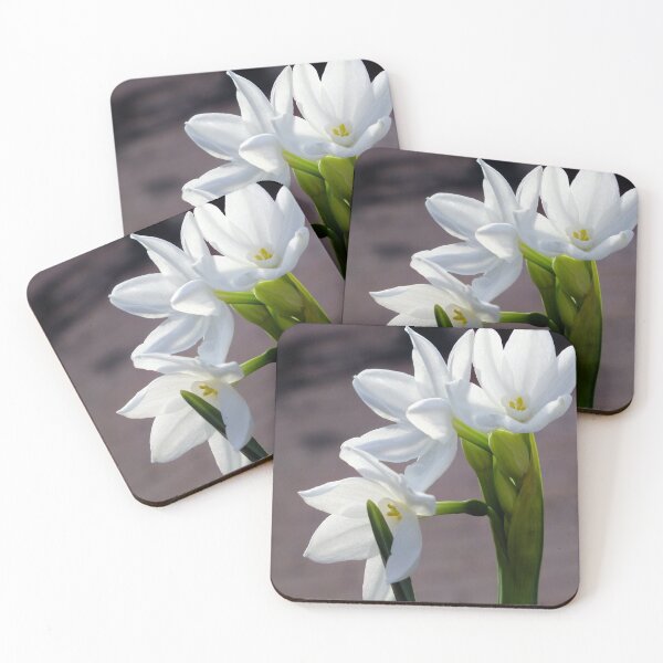 Item preview, White Narcissus designed and sold by pinkal.
