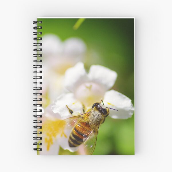 Aperçu de l'œuvre Buzzing bee créée et vendue par zihniophoto.