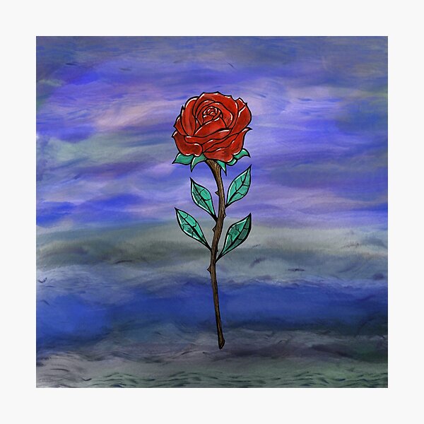 Rose Painting Design In The Blue Background Photographic Print By Shirtilike Redbubble