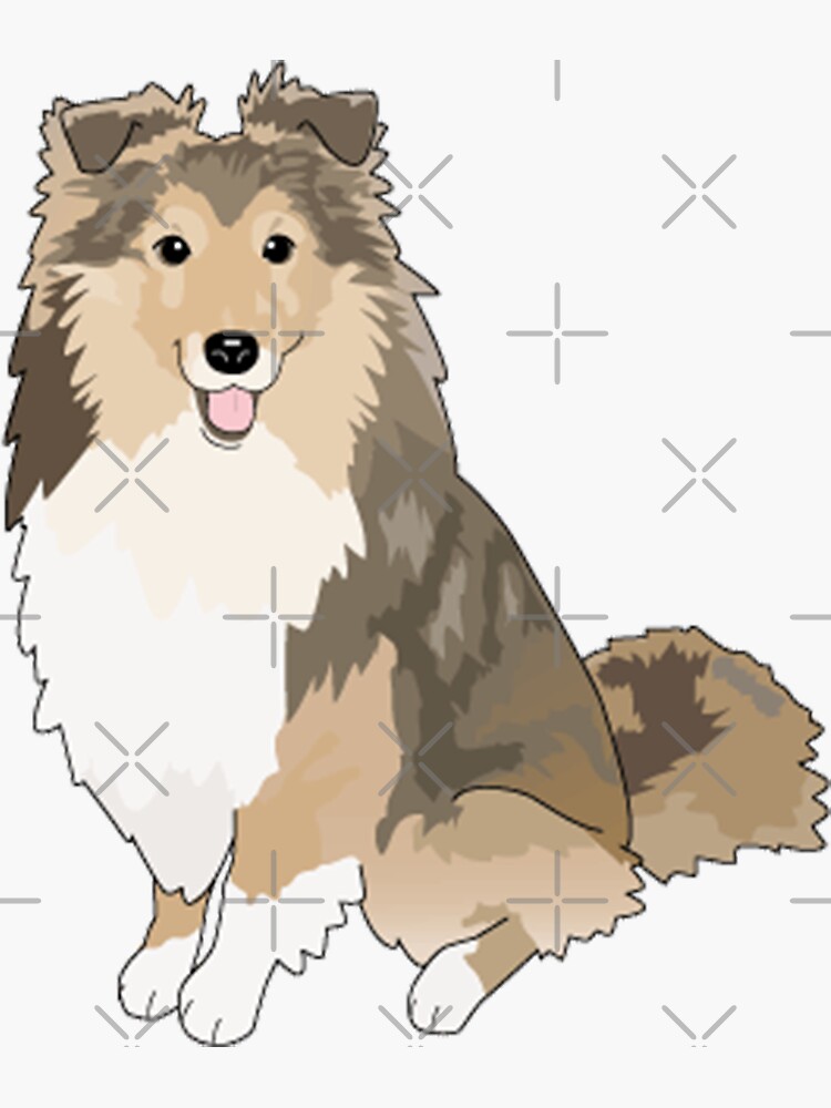 Sheltie Dog by Pam069