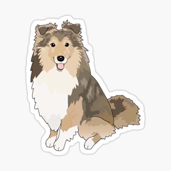 Sheltie Dog Sticker