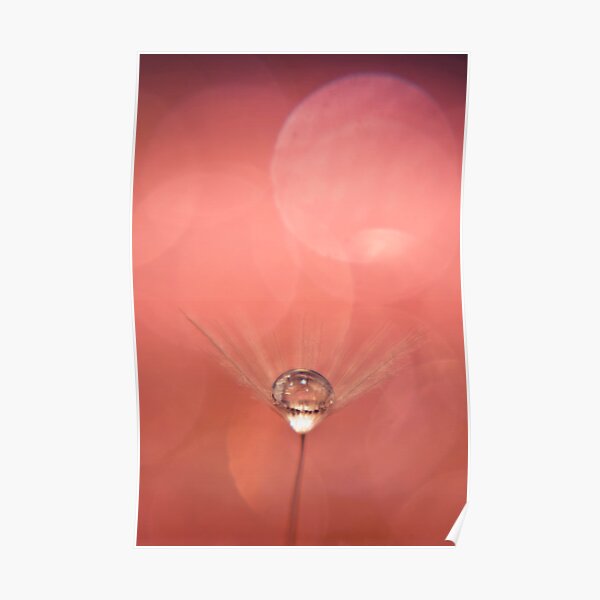 ~ the glass pearl ~ Poster